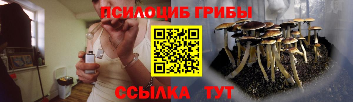 Карпинск  Галлюциногенные грибы прущие грибы  Вход с VPN  закладки  Псилоцибиновые грибы MAGIC MUSHROOMS 